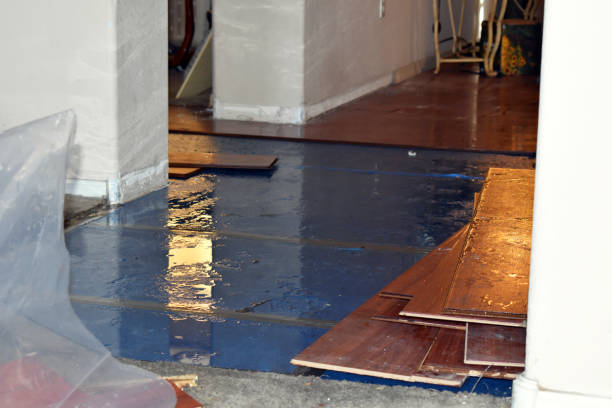 Professional Basement Flood Cleanup technician working in Ipswich, MA